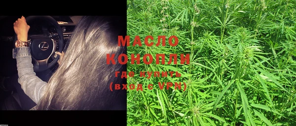 дживик Майский