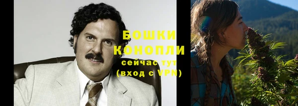 дживик Майский