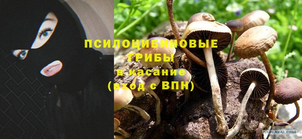 герыч Магадан