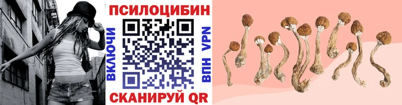 продажа наркотиков  Дмитровск  Галлюциногенные грибы MAGIC MUSHROOMS 